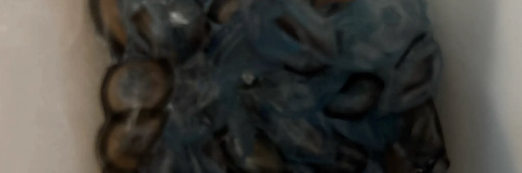 にーん banner