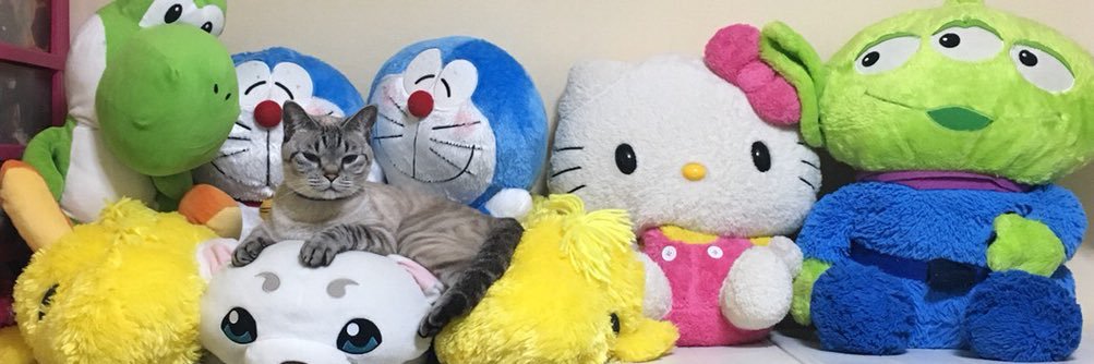 mari315's profile banner image