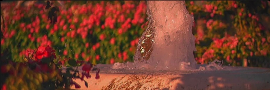 A_LAST0R1's profile banner image