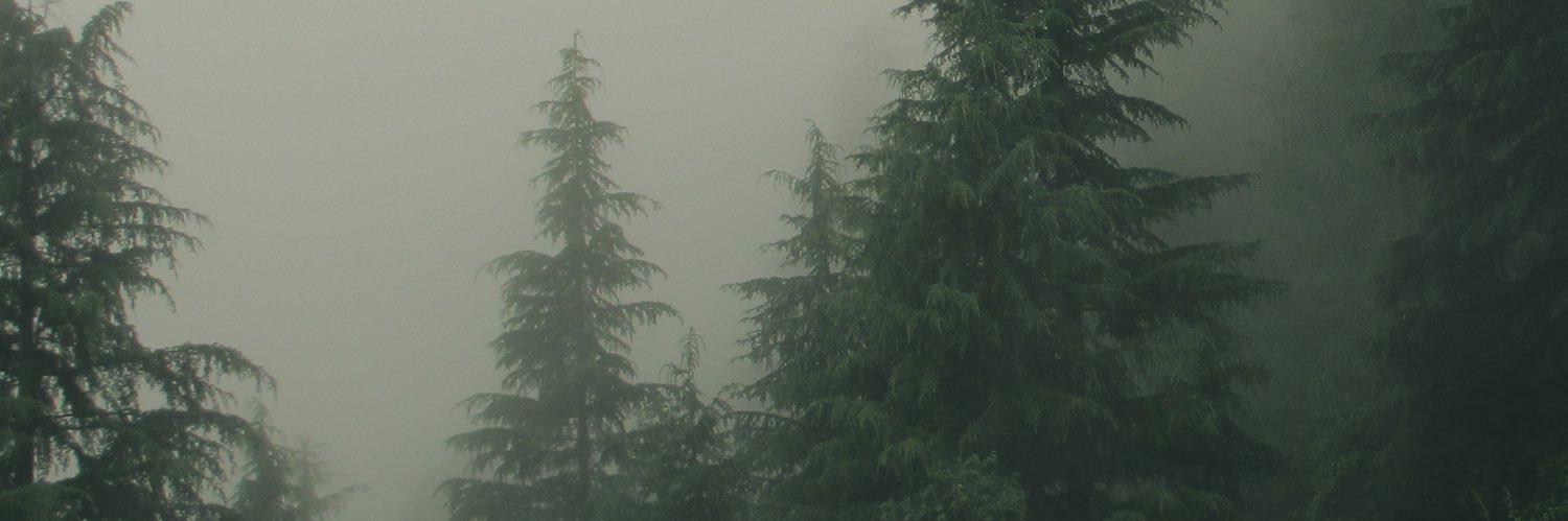 jaredhoule's profile banner image