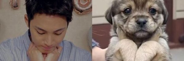 anauheim Profile Banner