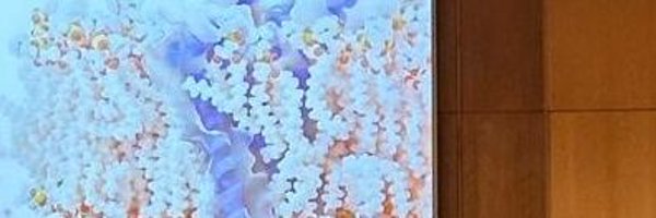 joaonvitorino Profile Banner