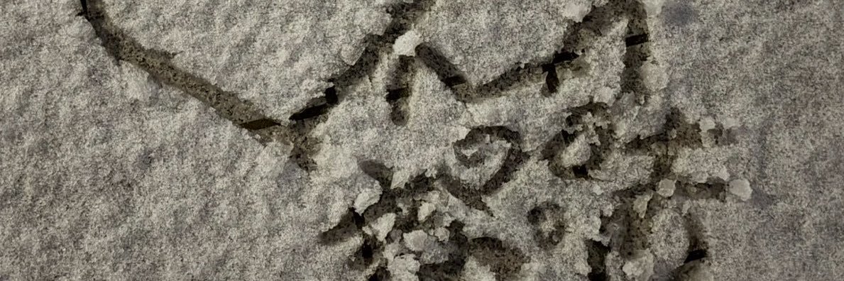 zhaoop's profile banner image