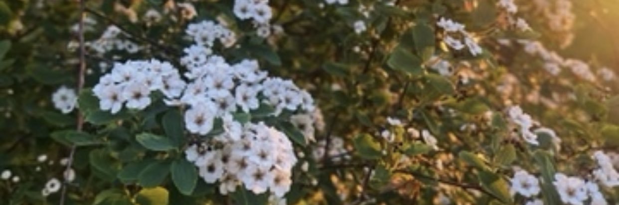 DailyBennettidk's profile banner image