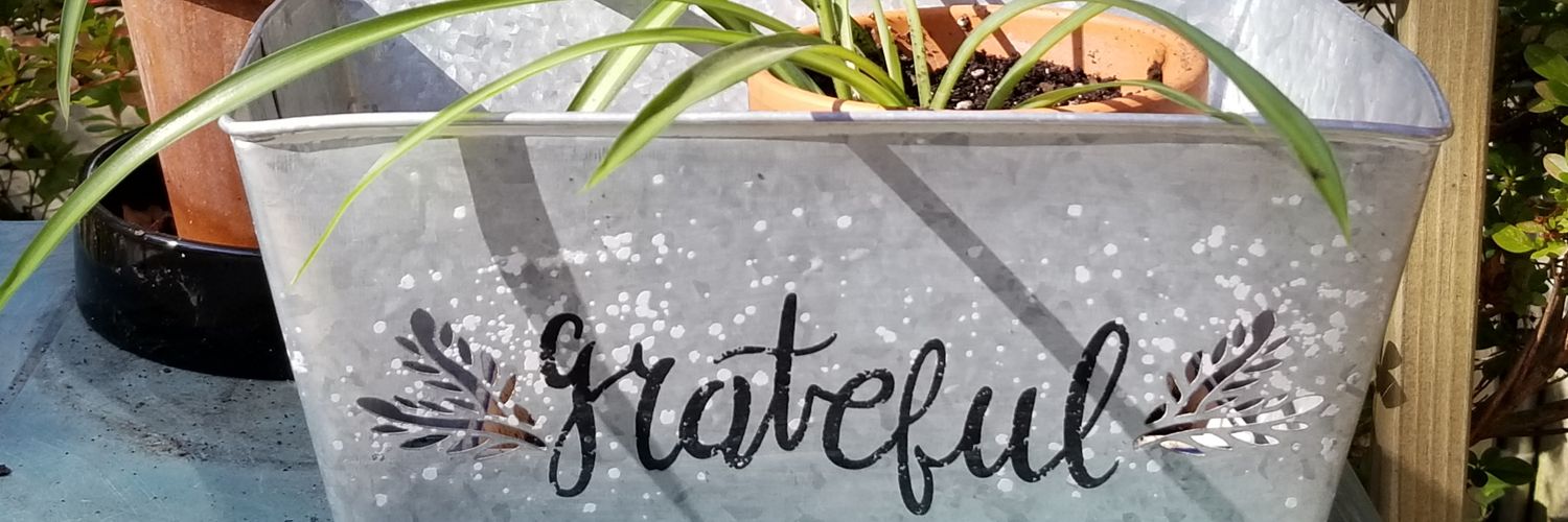 neeneeeWFUV's profile banner image