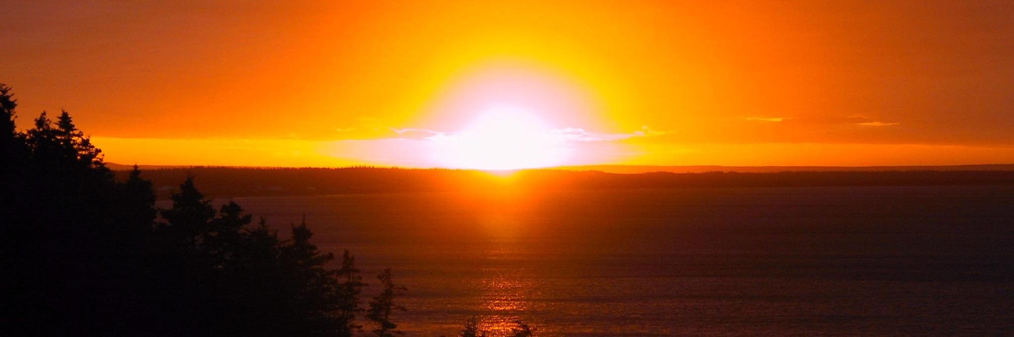Cruelsun96's profile banner image