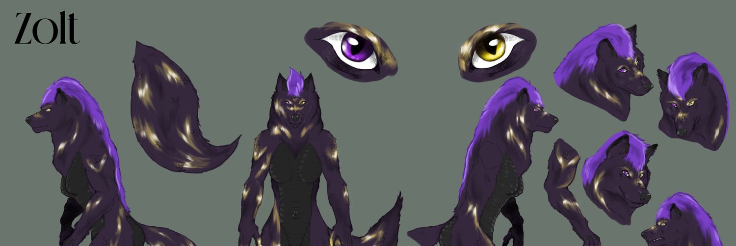 Zolttyz's profile banner image