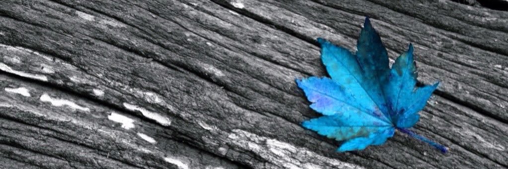 pepaschannel's profile banner image