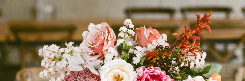 Ruffled® - Amanda Nistor banner