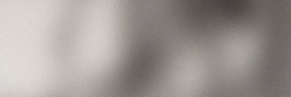 shading319 Profile Banner