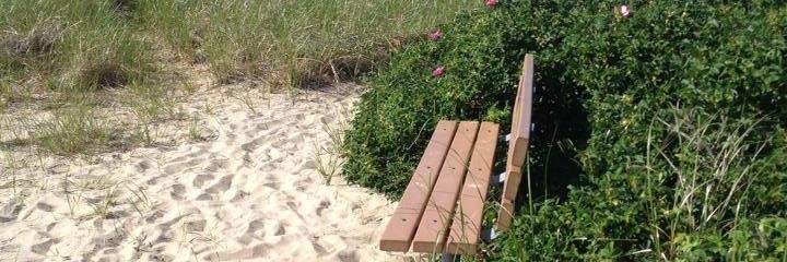 Amy Groden-Morrison banner