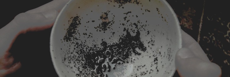 * 𝒍𝒂𝒗𝒆𝒏𝒅𝒆𝒓 . banner