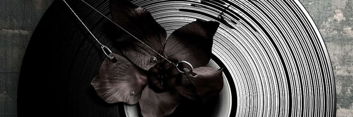r banner