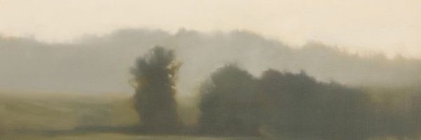 sunylins Profile Banner