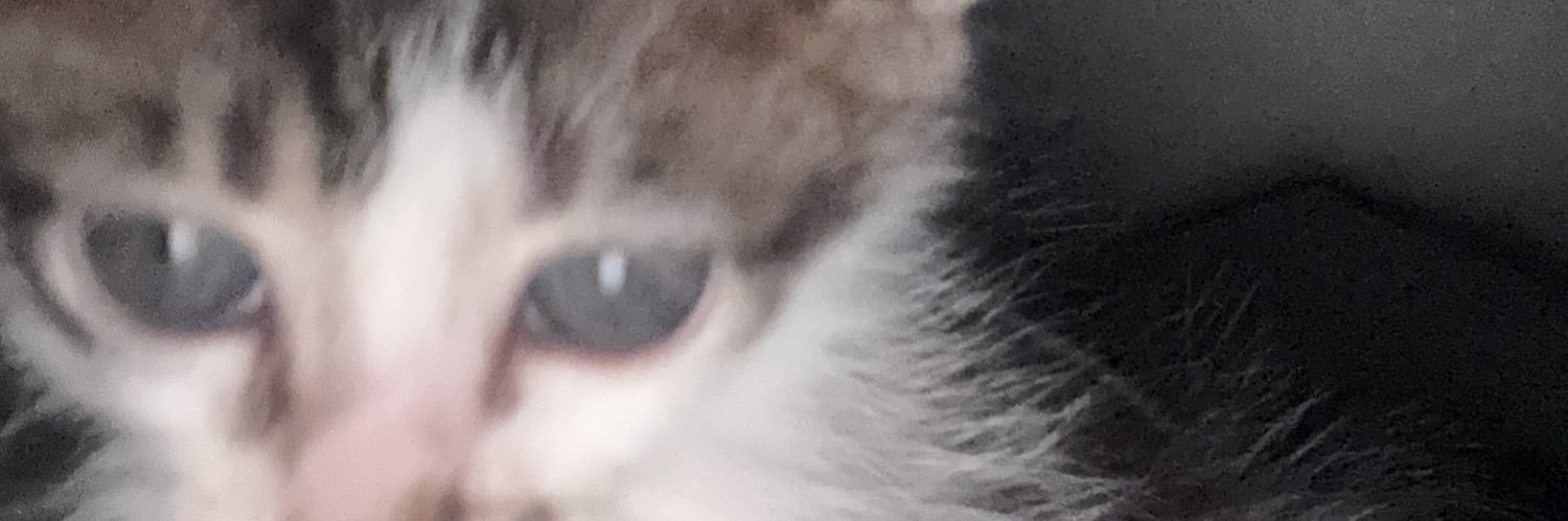 sagara🕷️ banner