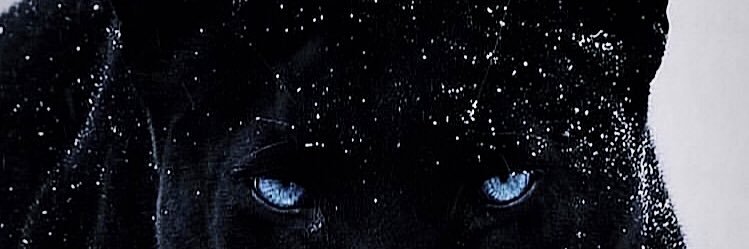 Mike_LDN's profile banner image