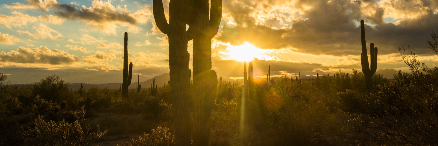 Arizona61tv's profile banner image