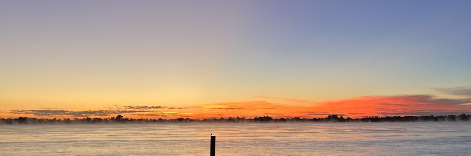 sheila 🇦🇷🧨 banner