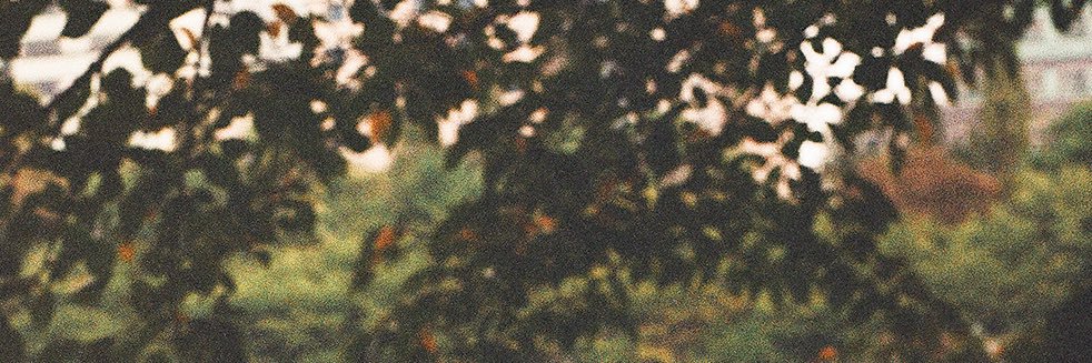 doujicha's profile banner image