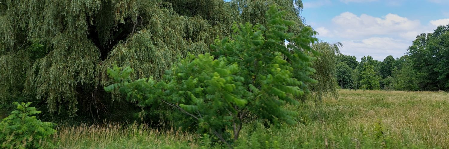 BreakingAshley's profile banner image