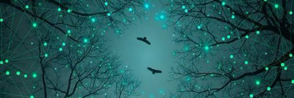 DSClarkAuthor Profile Banner