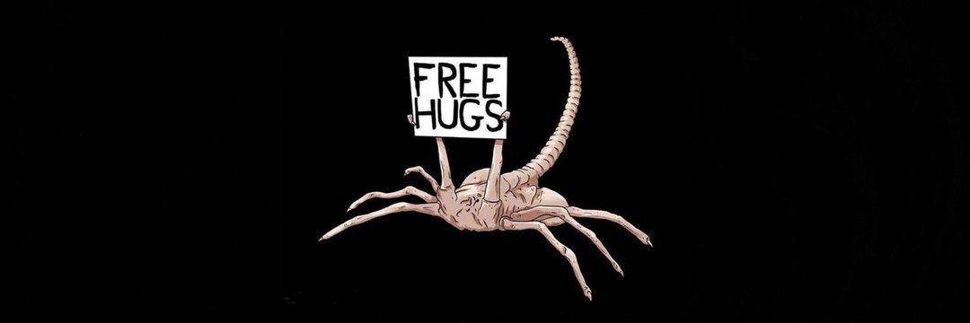 FuiBionda ☭🇵🇸 banner