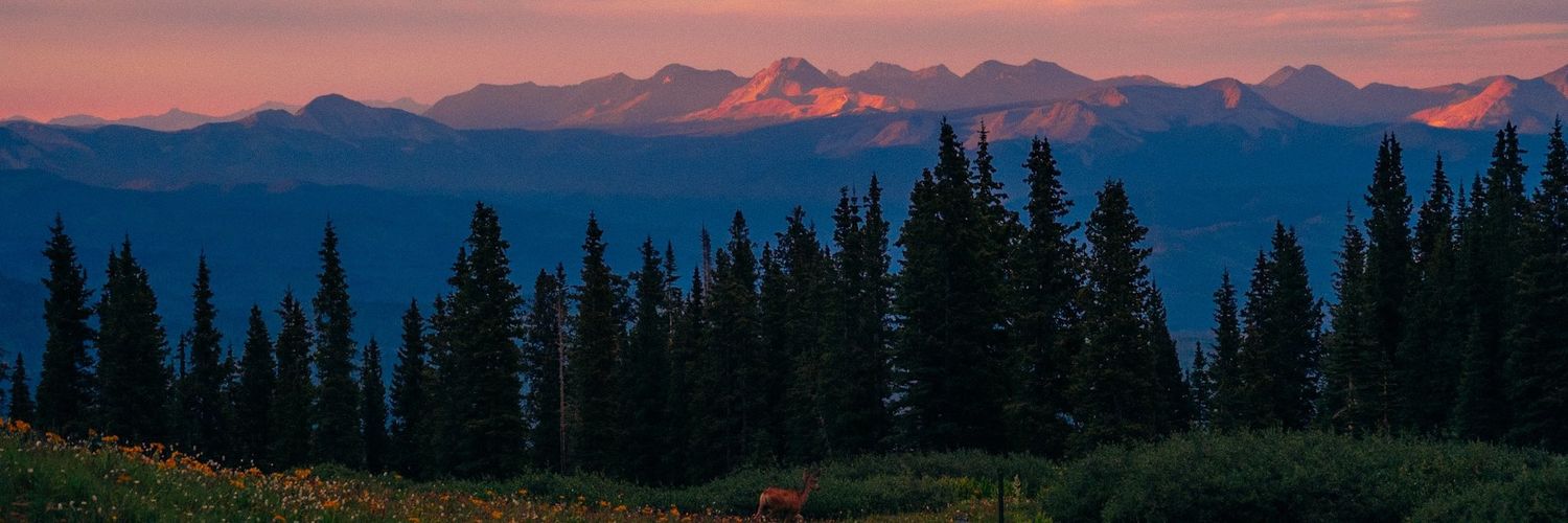 hendriswrd's profile banner image