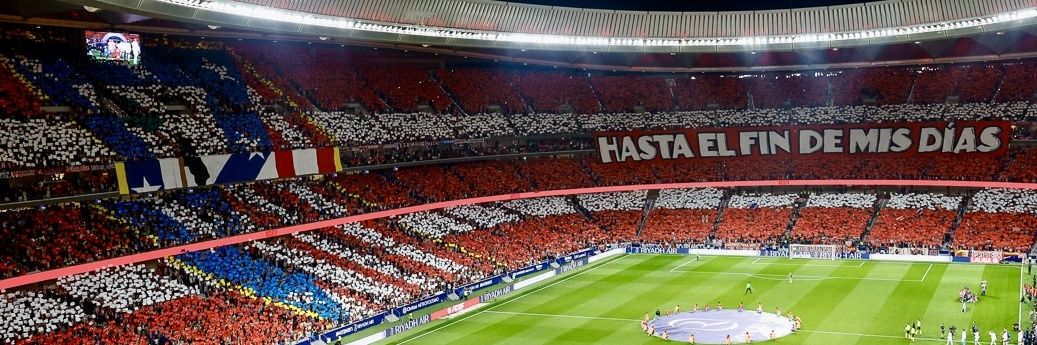 Tania Delgado banner