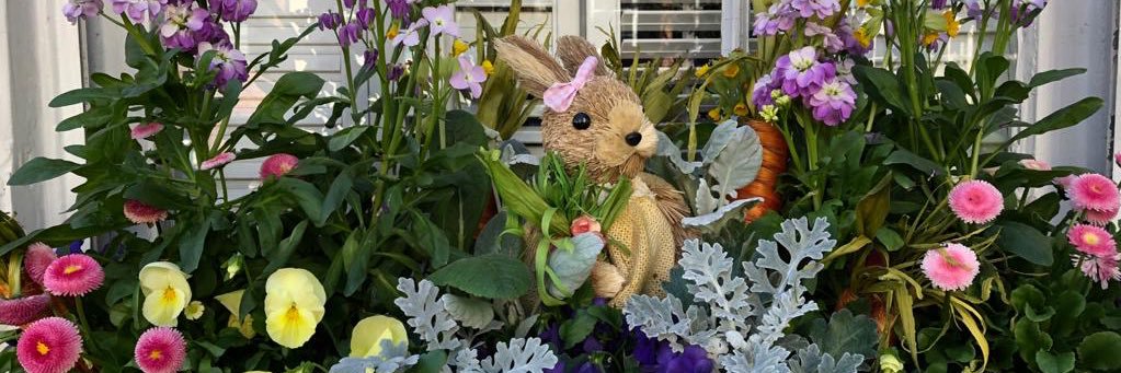 Gwen Swinburn 🇬🇧🇺🇦🏴󠁧󠁢󠁥󠁮󠁧󠁿xx banner