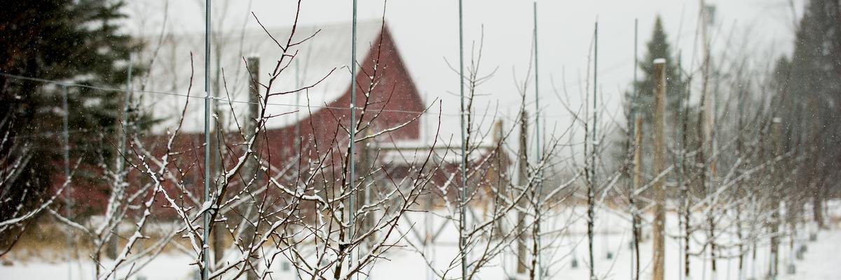 Eleanor Leger banner