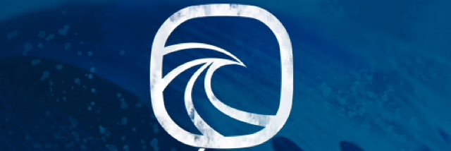 Mexico Surf banner