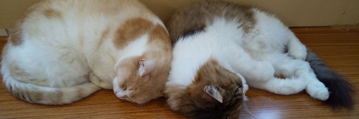 nyanfree's profile banner image