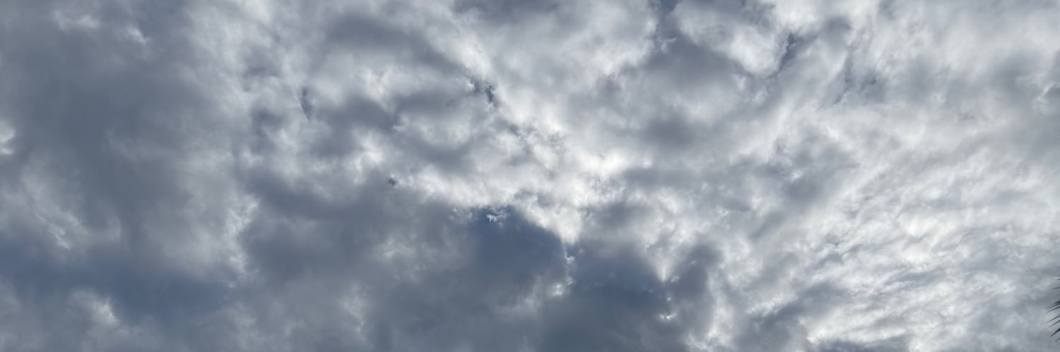 linjingQAQ's profile banner image