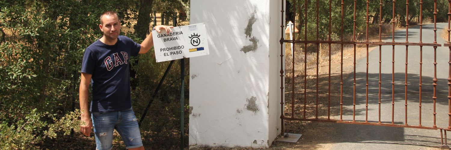 davidaucejo's profile banner image