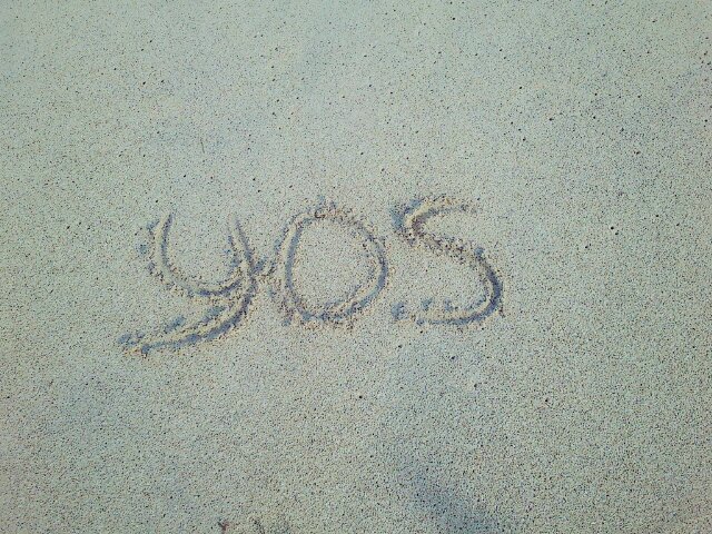yoseph setyo ady banner