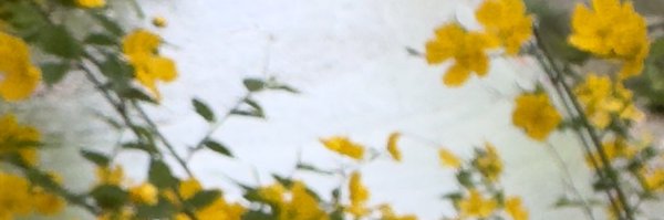 flowercomputers Profile Banner