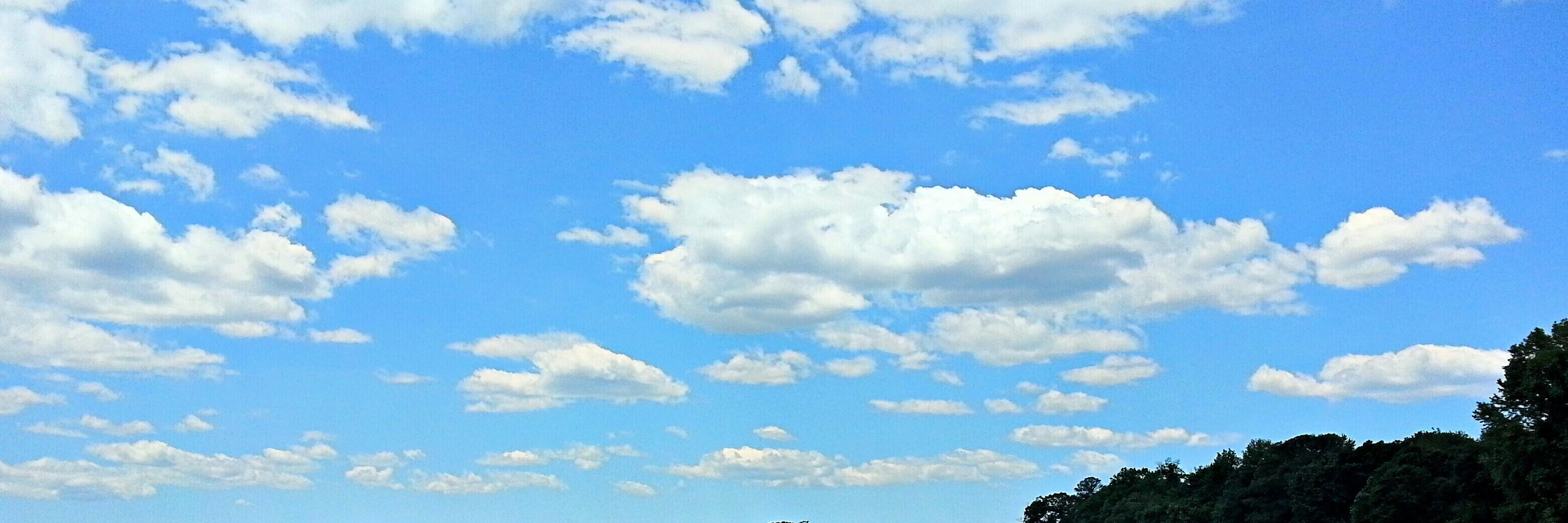 BagusRiady's profile banner image