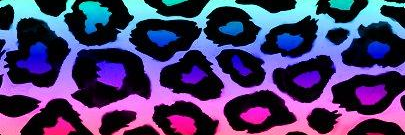 AnnaPunt's profile banner image