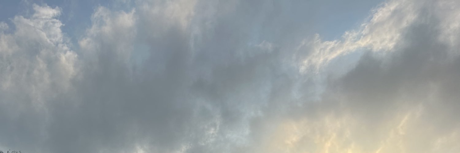 intuition✧soup's banner