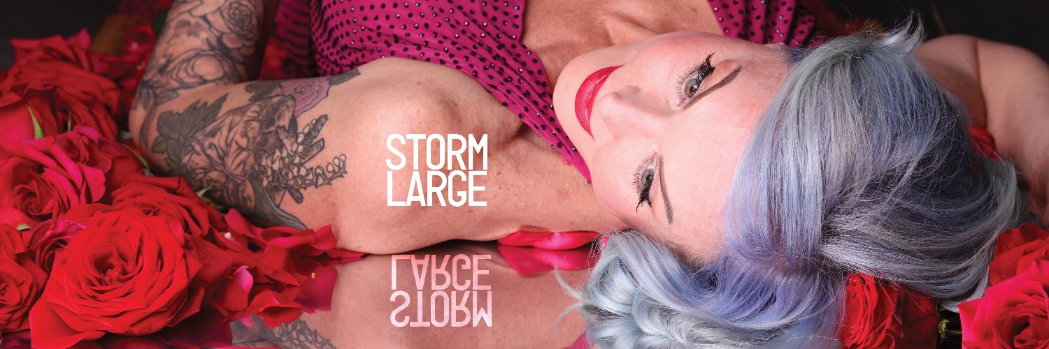 Storm Large banner