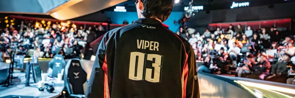 Viper fan’s banner