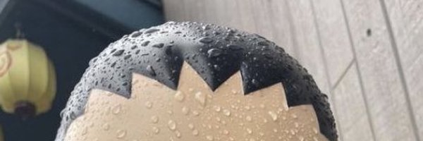 g2niuspineapple Profile Banner