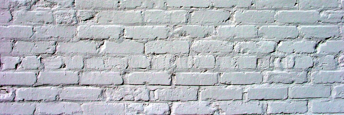 Chelsa Crowley banner