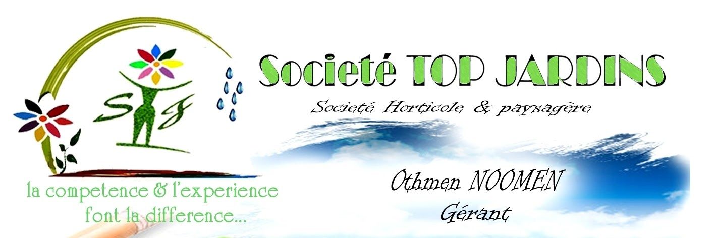Othmen NOOMEN banner