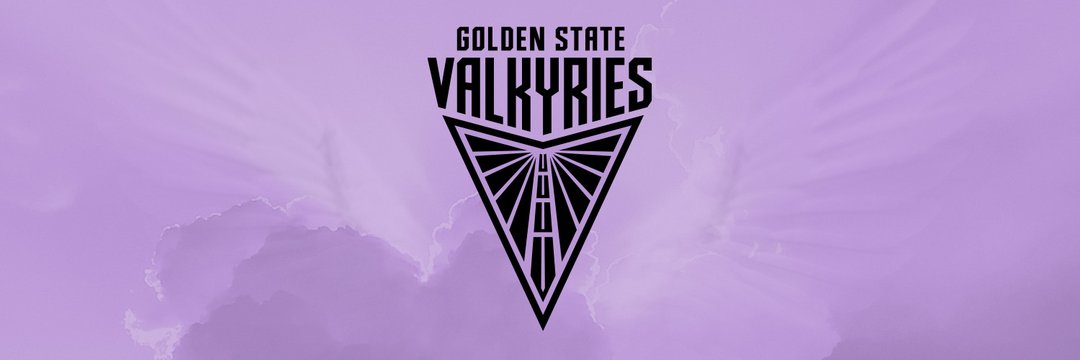 ValkyriesBrazil's profile banner image