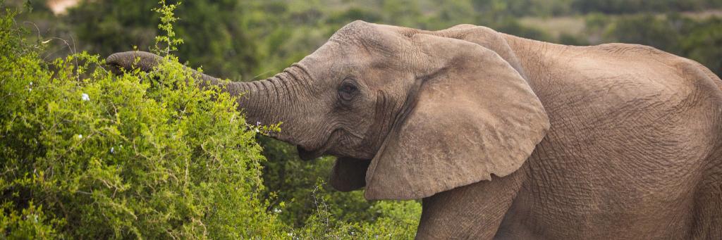 Hotspots2c Tours | Africa Select Journeys banner