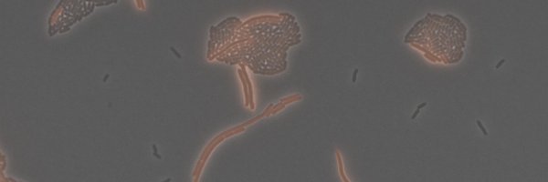 bioctrl Profile Banner