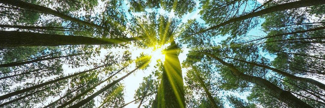 annefamel's profile banner image