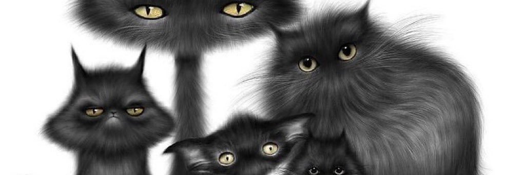 CatButler28's profile banner image