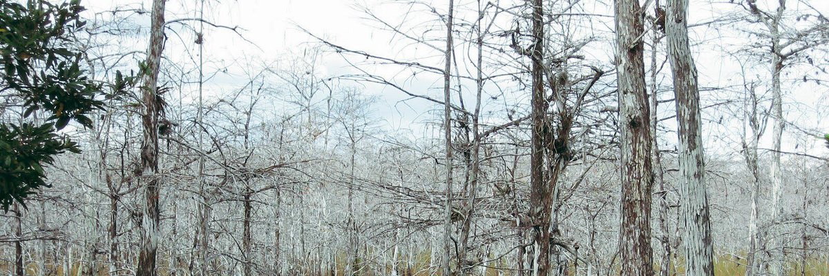 Alexisdieander's profile banner image